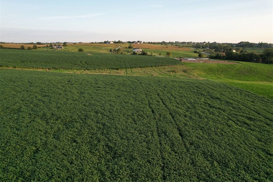 Listing Photo: Lot 2 - Drone Pic (16)